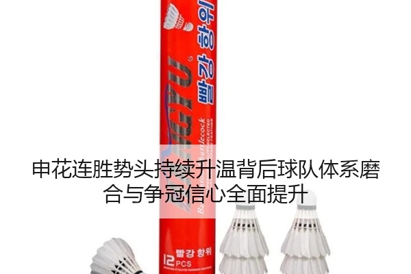 申花连胜势头持续升温背后球队体系磨合与争冠信心全面提升