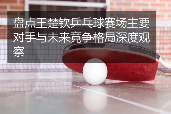 盘点王楚钦乒乓球赛场主要对手与未来竞争格局深度观察